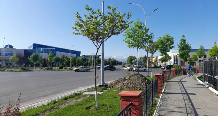 Eine Straßenszene mit Bäumen, Gebäuden und Bergen in der Ferne.