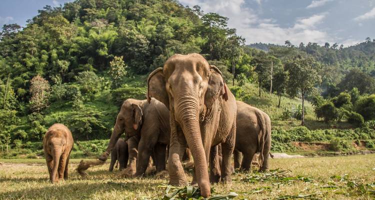 Treasures of Northern Thailand - Exodus Adventure Travels 2