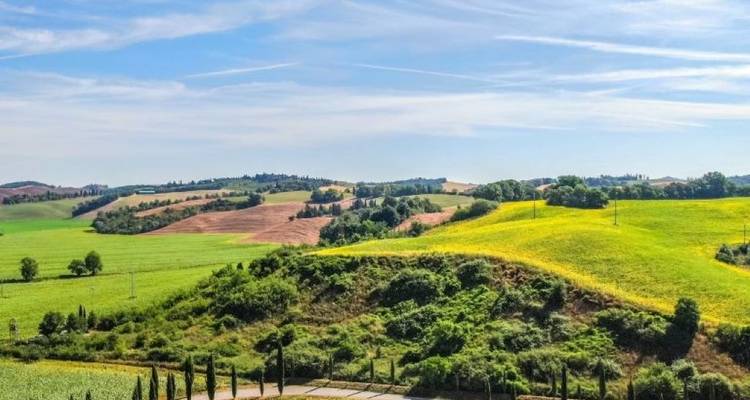 Vibrant green hills under a clear blue sky.