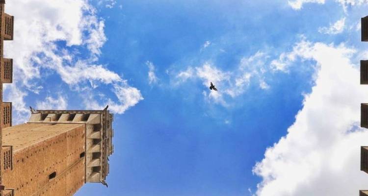Tall brick tower with a bird flying in the sky.