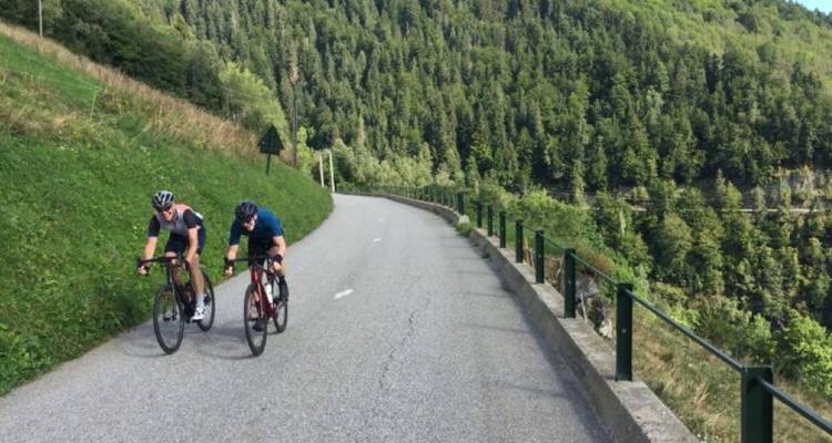 Cyclists on a winding mountain road with forest surroundings.