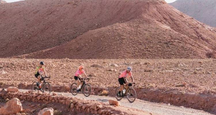 Cyclists riding through a desert landscape.