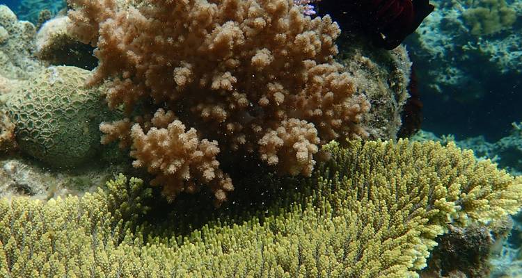 Academia Marina - expedición de 3 días y 2 noches de Coron a el Nido - LakbayPalawan 4