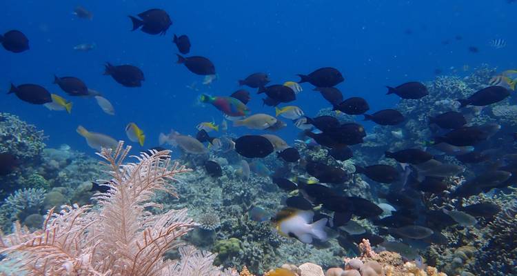 Academia Marina - expedición de 3 días y 2 noches de Coron a el Nido - LakbayPalawan 2