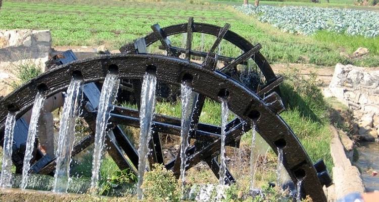EL FAYOUM DAY TRIP - Alacart Travel Egypt 3