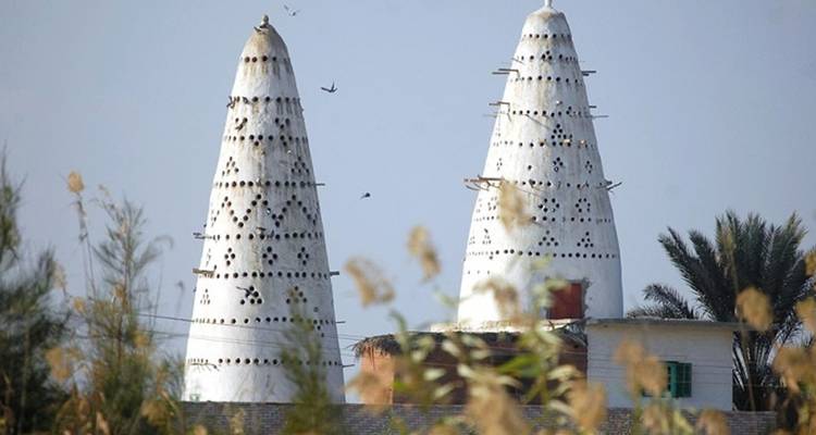 EL FAYOUM DAY TRIP - Alacart Travel Egypt 6