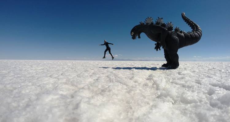 UYUNI SALT FLATS FULL DAY GROUP TOUR - Peru Trek 4 Good 10