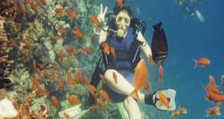 Circuito de snorkel en la isla de Giftun - Alacart Travel Egypt 1