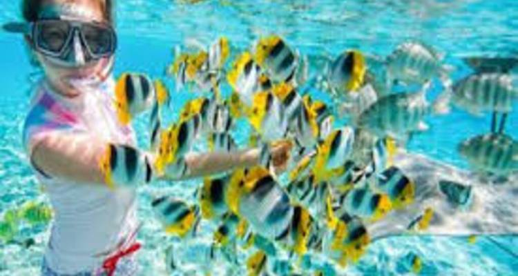 Circuito de snorkel en la isla de Giftun - Alacart Travel Egypt 2