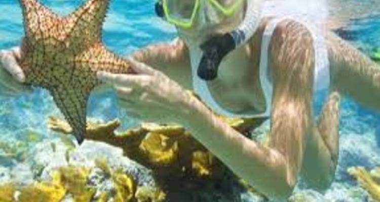 Circuito de snorkel en la isla de Giftun - Alacart Travel Egypt 3