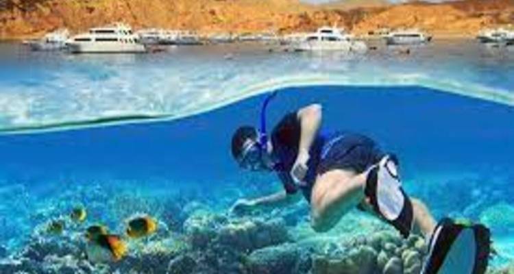 Circuito de snorkel en la isla de Giftun - Alacart Travel Egypt 4