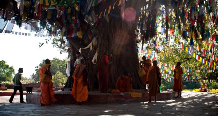 Esplendor de Nepal - Holidays At 5