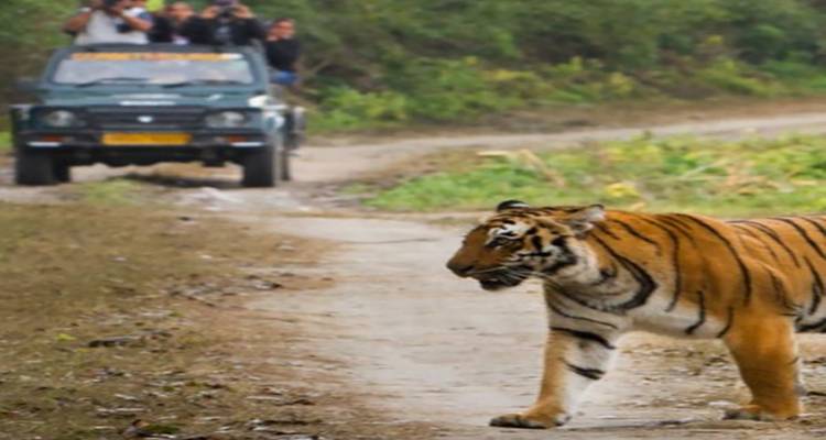16 jours d'excursion en Inde avec Taj mahal - tout compris - Travel Con 2