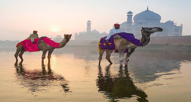 16 jours d'excursion en Inde avec Taj mahal - tout compris - Travel Con 8