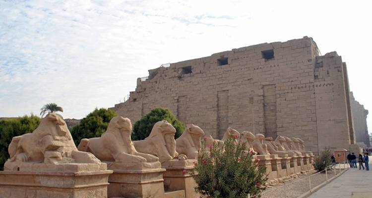 FAMILY CRUISE - Alacart Travel Egypt 3