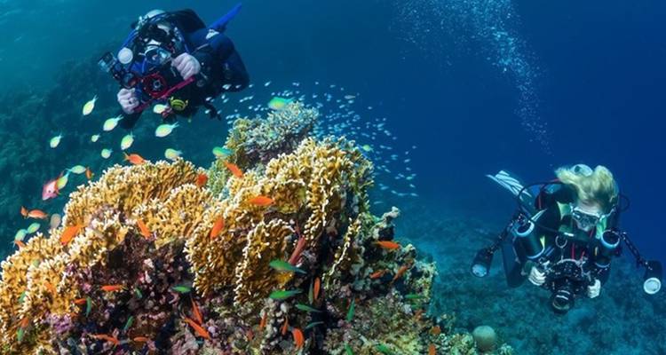 RAS ABU GALUM AND BLUE LAGUOON - Alacart Travel Egypt 3
