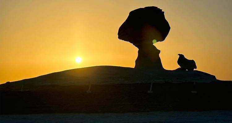 Desert Explorer - Alacart Travel Egypt 4