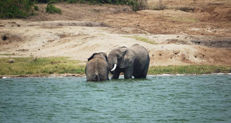 Kenia: Maasai Mara, Nairobi, Aberdare - 6 Días - Receptivo Aborigen Tours 8