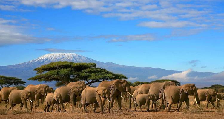 Kenia: Maasai Mara, Nairobi, Aberdare - 6 Días - Receptivo Aborigen Tours 10