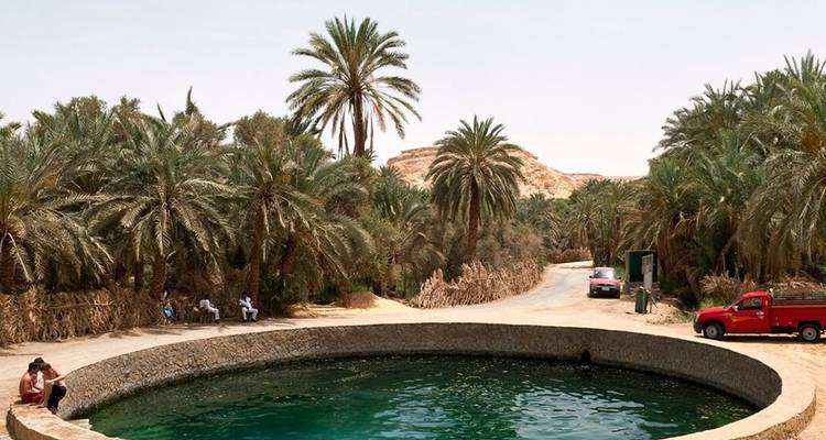 Majestad Siwa - Alacart Travel Egypt 3