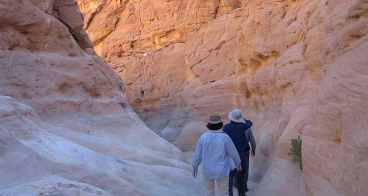 ST. CATHERINE y Cañón de COLoR en Jeep - Alacart Travel Egypt 3