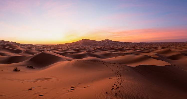 Mini aventure au Sahara - Intrepid Travel 1