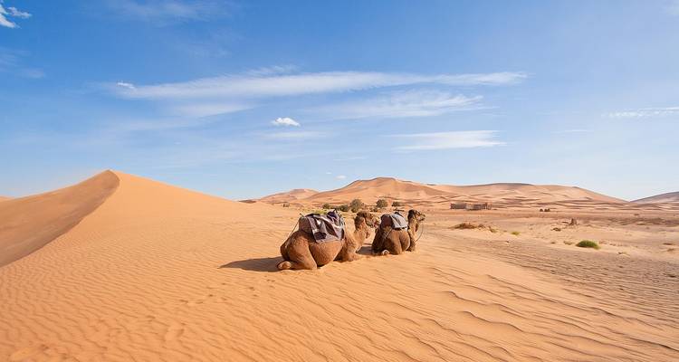 3-day Marrakech Desert Tour to Merzouga - SAHARA HOLIDAY 7
