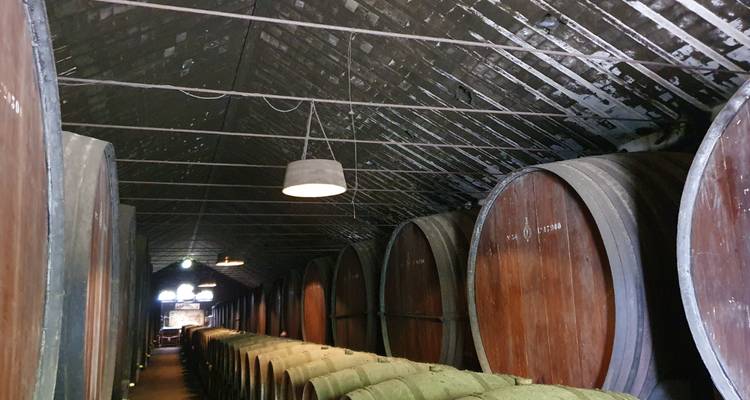Portugal Highlights in 3 Days - Private Tour - Portugal Unknown Tours 7