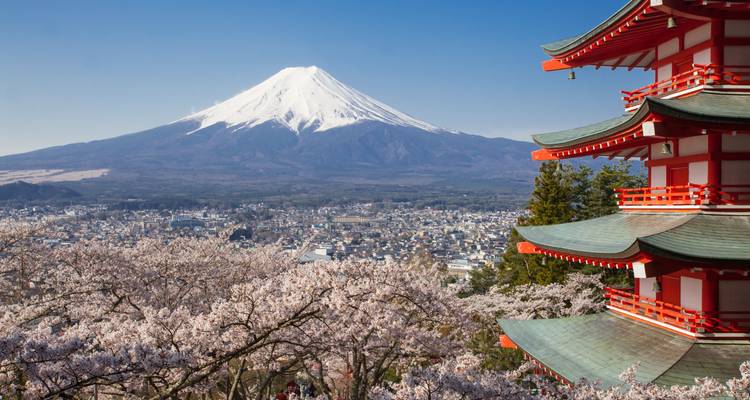Majestic Japan - Luxury Gold 10