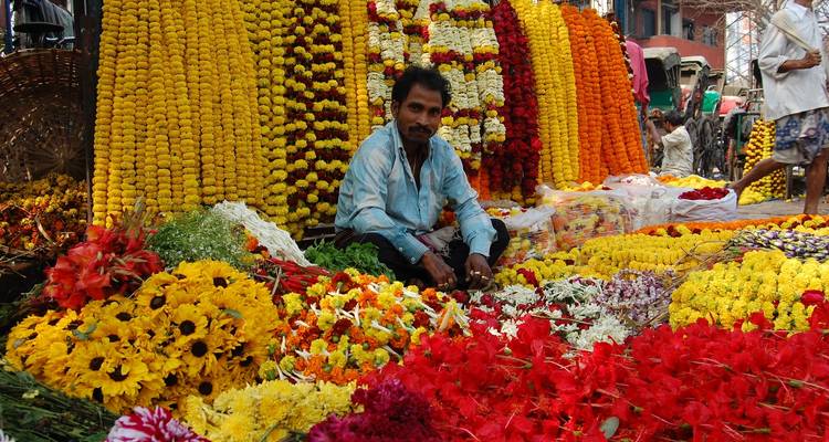 Indian Festival of Lights - Diwali Tour with Tiger Safari - Memorable India Journeys 9