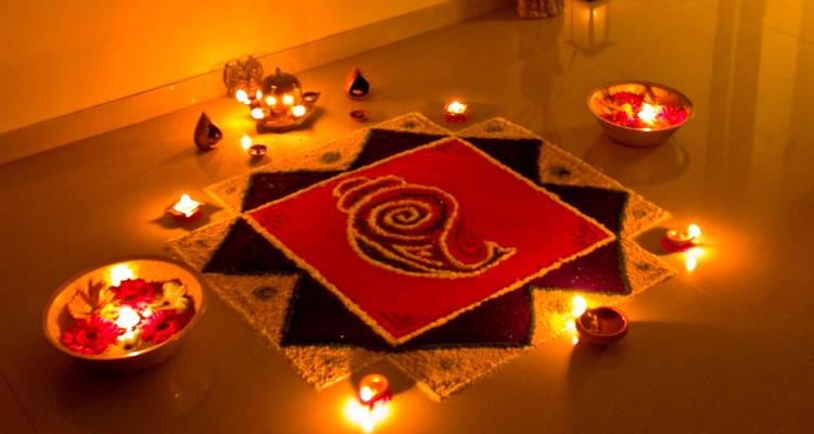 Indian Festival of Lights - Diwali Tour with Tiger Safari - Memorable India Journeys 7