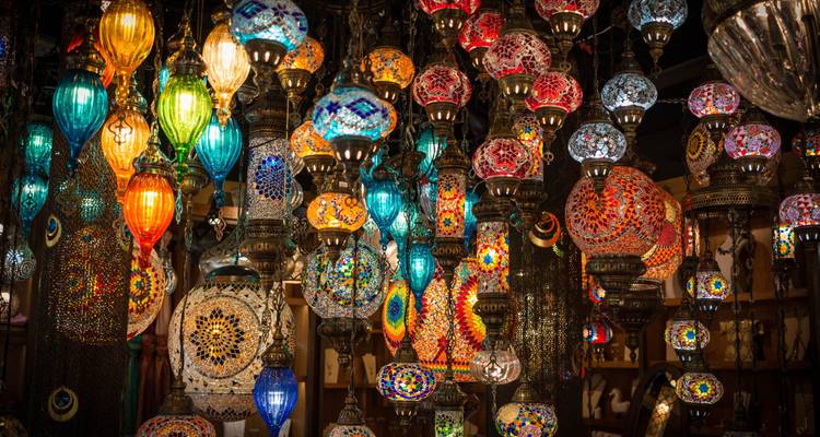 Indian Festival of Lights - Diwali Tour with Tiger Safari - Memorable India Journeys 6