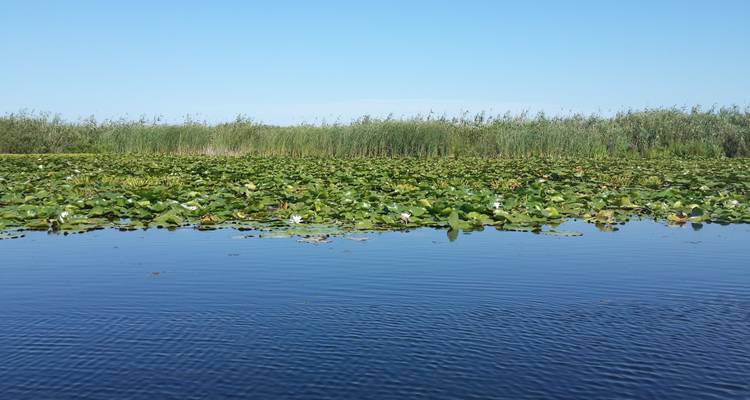 Circuit privé de 5 jours : Delta du Danube et le meilleur de la Tranylvanie - Transylvania Discovery Tours 6