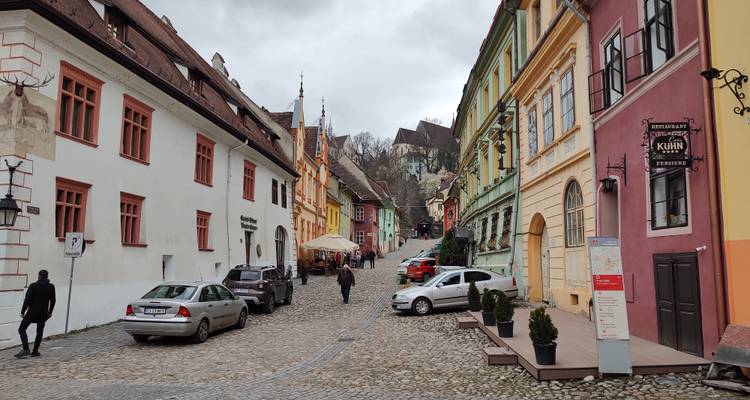Circuit privé de 5 jours : Delta du Danube et le meilleur de la Tranylvanie - Transylvania Discovery Tours 2