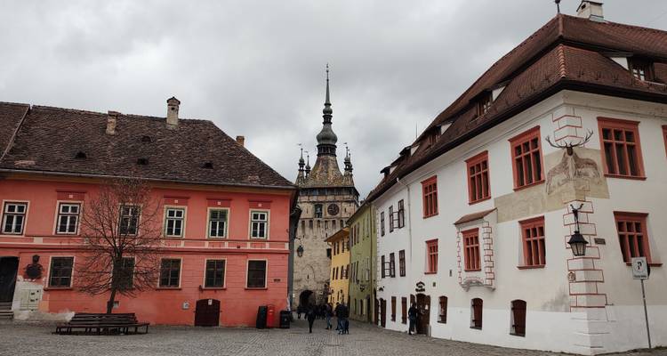 Circuit privé de 5 jours : Delta du Danube et le meilleur de la Tranylvanie - Transylvania Discovery Tours 3