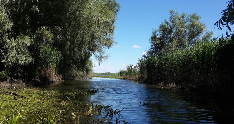 Circuit privé de 5 jours : Delta du Danube et le meilleur de la Tranylvanie - Transylvania Discovery Tours 8