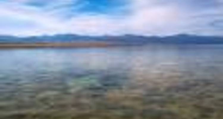 NABQ PROTECTED AREA - Alacart Travel Egypt 1