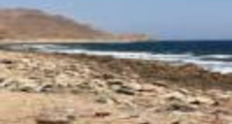 NABQ PROTECTED AREA - Alacart Travel Egypt 2