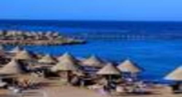 NABQ PROTECTED AREA - Alacart Travel Egypt 3