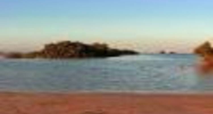 NABQ PROTECTED AREA - Alacart Travel Egypt 4