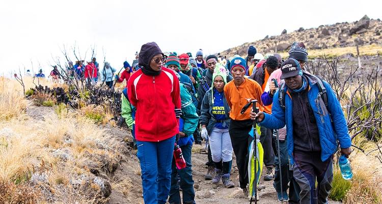 Kilimanjaro Día Internacional de la Mujer Marzo 2024 - Zara Tours (Zara Tanzania Adventures) 7
