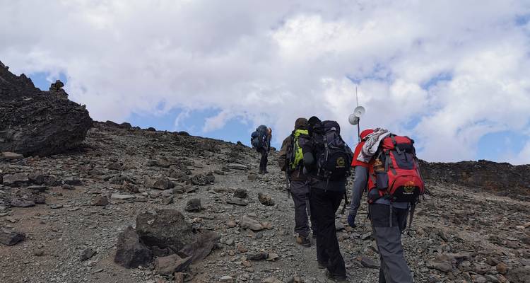 Campamento base del Kilimanjaro - Zara Tours (Zara Tanzania Adventures) 1