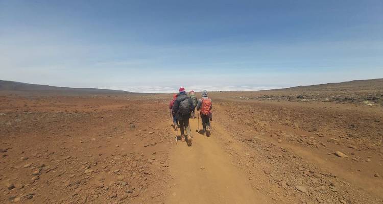 Campamento base del Kilimanjaro - Zara Tours (Zara Tanzania Adventures) 2