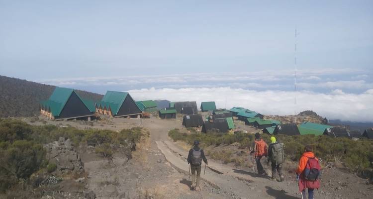 Campamento base del Kilimanjaro - Zara Tours (Zara Tanzania Adventures) 6