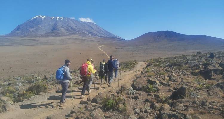 Campamento base del Kilimanjaro - Zara Tours (Zara Tanzania Adventures) 7