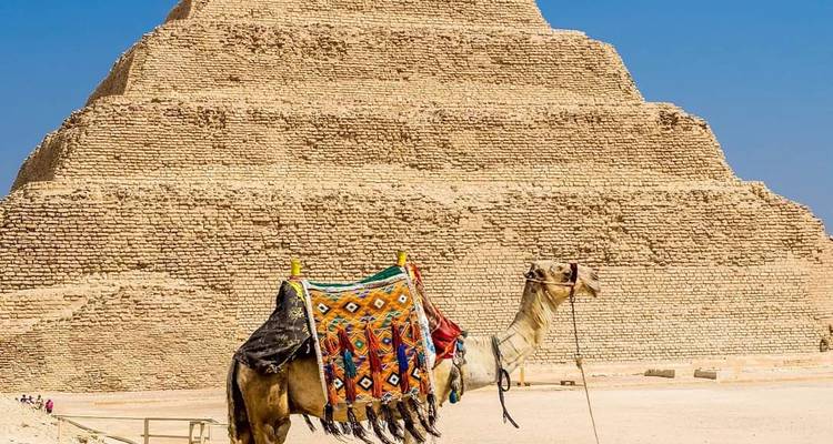 Un chameau se reposant devant la Pyramide à degrés de Saqqara sous un ciel bleu dégagé.