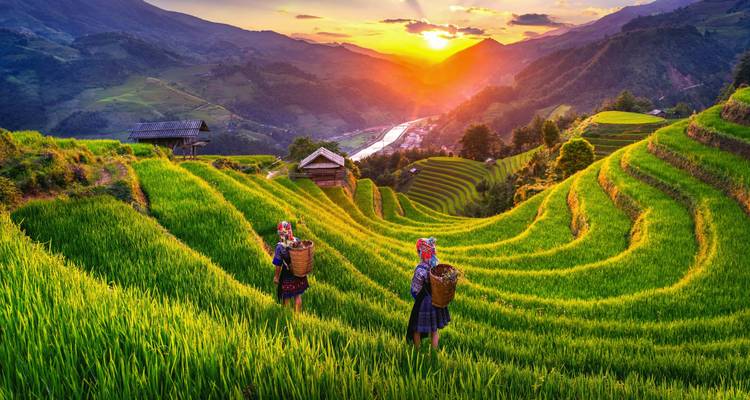 Terrasvormige rijstvelden tijdens zonsondergang met boeren.