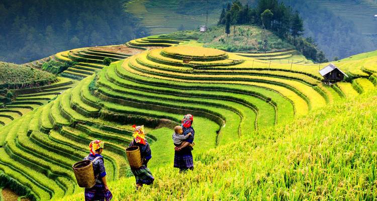 Terrasvormige rijstvelden overdag met lokale bewoners.