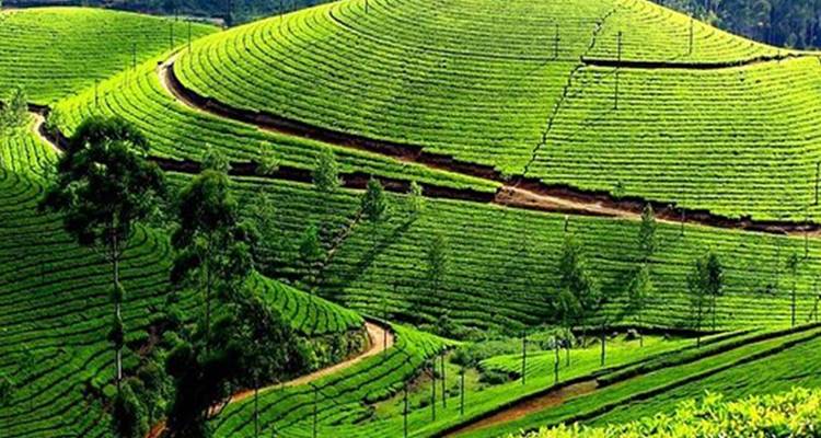 Romantic Beaches and Backwaters 10 Days  Tour of Kerela - Agra Travels Service & Tours 2