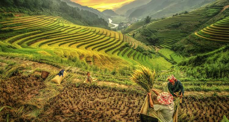 Voyage au Vietnam hors des sentiers battus en 14 jours - Circuit privé - Vietnam Tour Fun 10